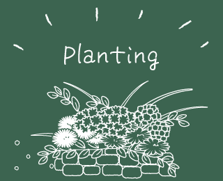 植栽・寄せ植え